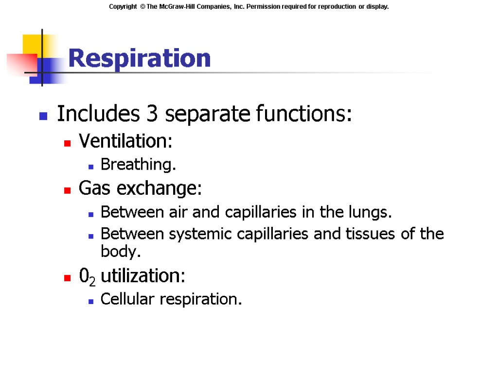 Respiration Includes 3 separate functions: Ventilation: Breathing. Gas exchange: Between air and capillaries in